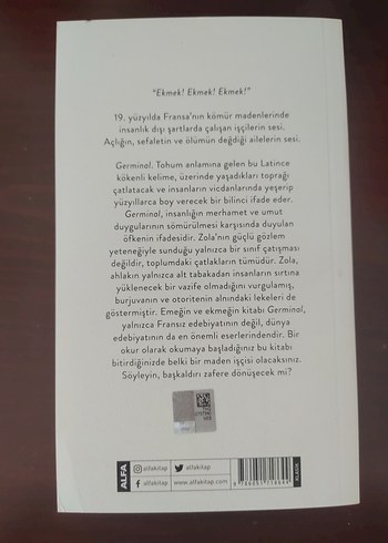 Emile Zola Germinal Roman - Görsel 2