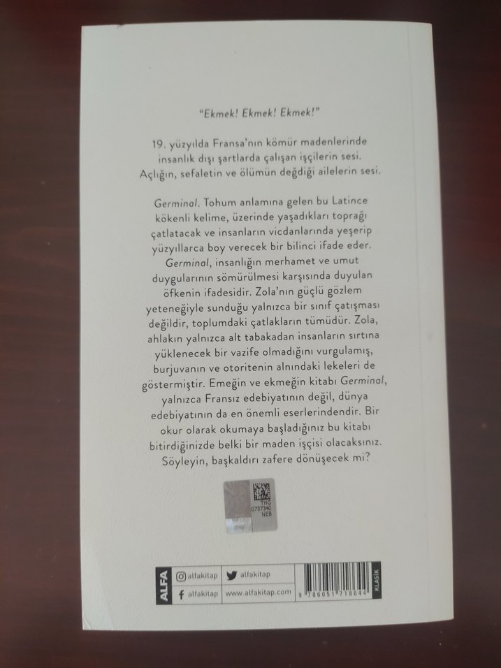 Emile Zola Germinal Roman - Görsel 2
