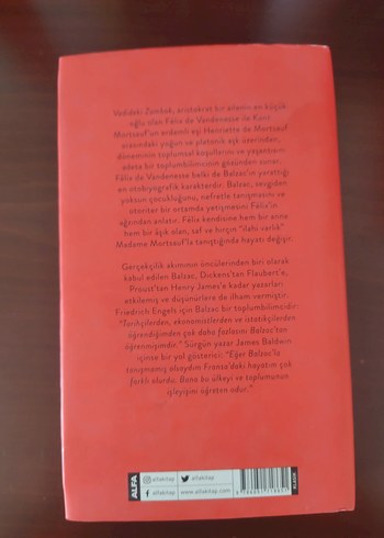 Vadideki Zambak - Honoré de Balzac - Görsel 2