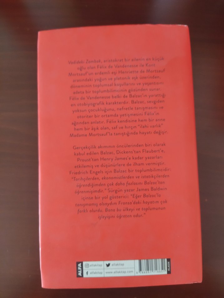 Vadideki Zambak - Honoré de Balzac - Görsel 2