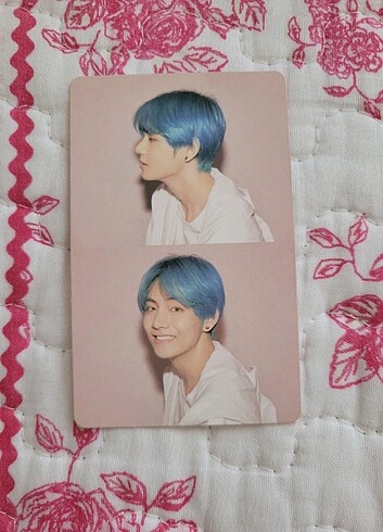 Persona tae v