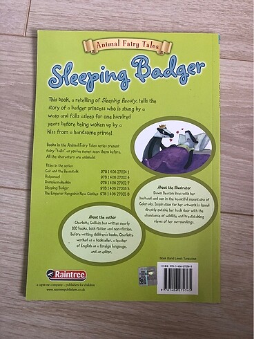  Sleeping Badger