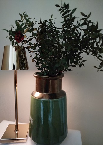 Parlak Haki Seramik Vazo - Görsel 2