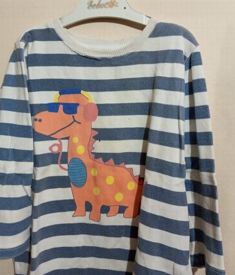 Çizgili Baskılı Erkek. Çocuk Sweatshirt - Görsel 3