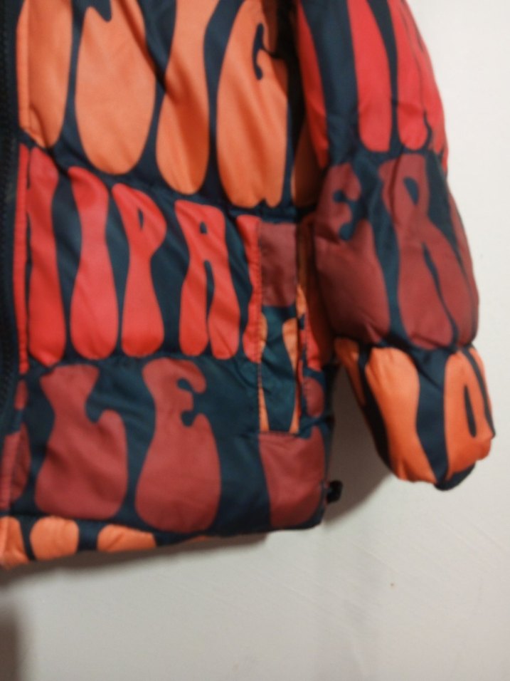 Erkek Çocuk Renkli Yazılı Kapüşonlu Mont - Görsel 2