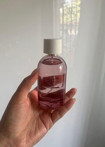 Kadın Parfümü - Şeffaf Pembe Şişe - Görsel 2