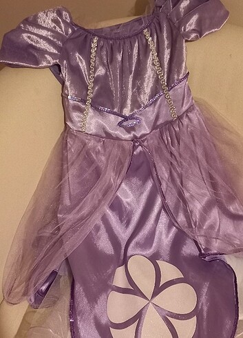 Zara Prenses sofia kostümü