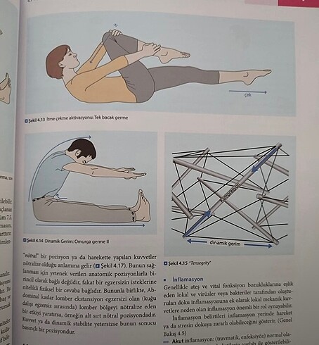  Beden Renk Pilates Eğitmenler İçin El Kitabı