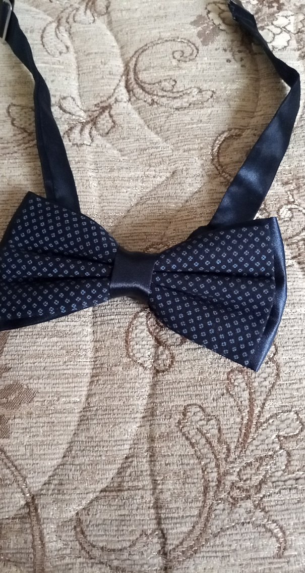 Klasik Lacivert Desenli Erkek Papyon - Görsel 2