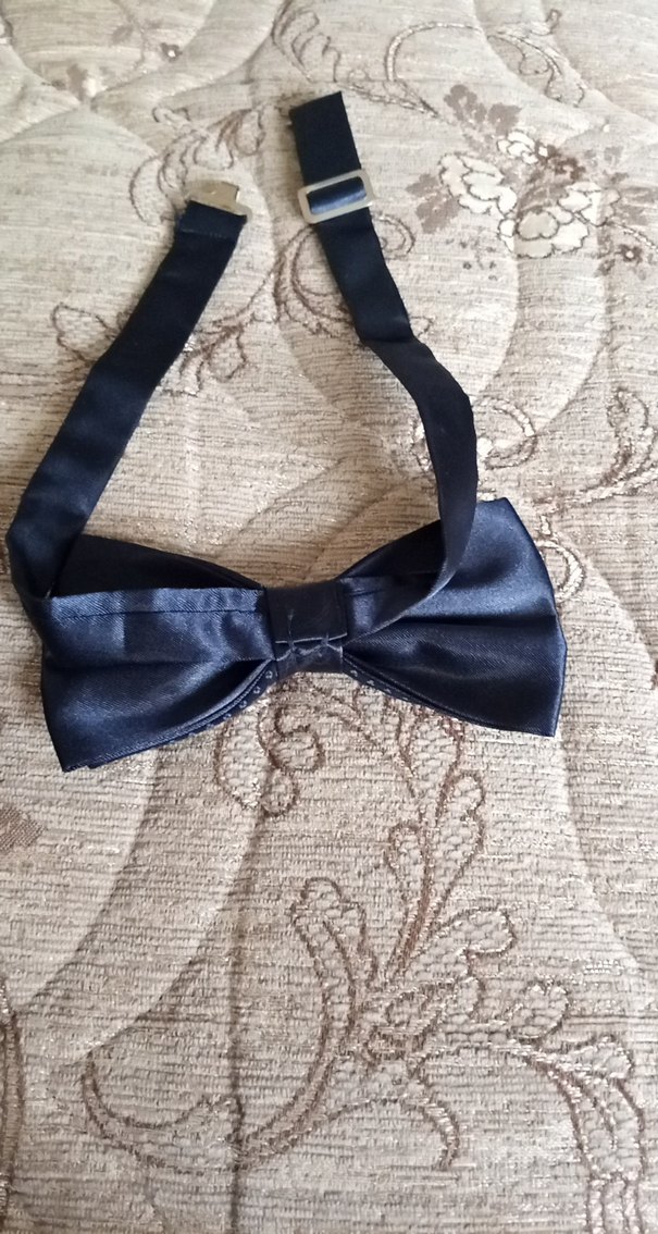 Klasik Lacivert Desenli Erkek Papyon - Görsel 3