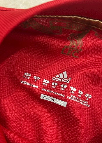 Erkek Kırmızı Kısa Kollu Spor Tişört - Görsel 3