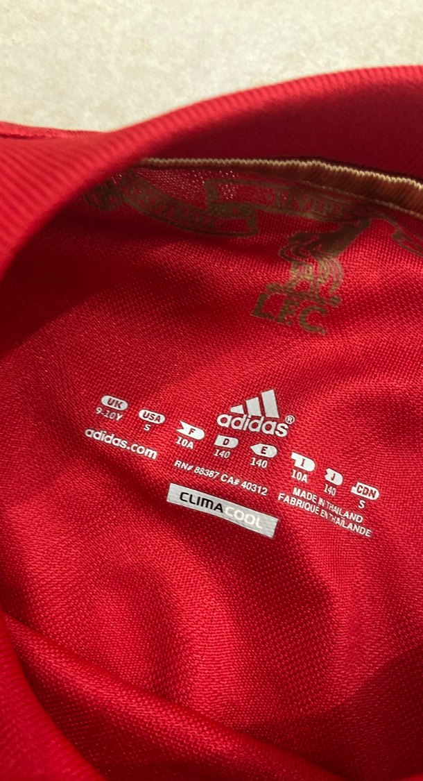 Erkek Kırmızı Kısa Kollu Spor Tişört - Görsel 3