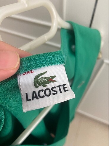 s Beden yeşil Renk Lacoste üst