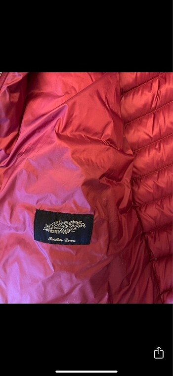 m Beden bordo Renk Massimo Dutti M beden
