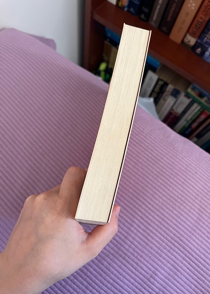 Bizimle başladı bizimle bitti colleen hoover - Görsel 3