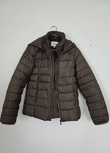 Koton mont 