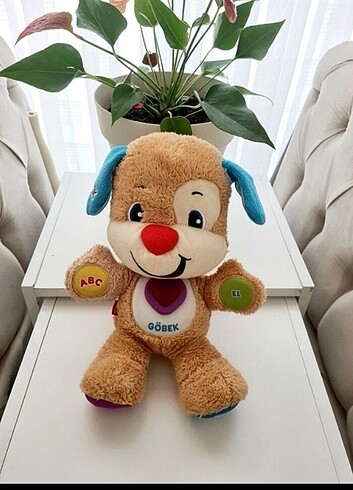  Beden Renk Fisher Price Köpekçik
