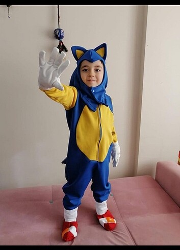 Diğer Kirpi sonic kostümü