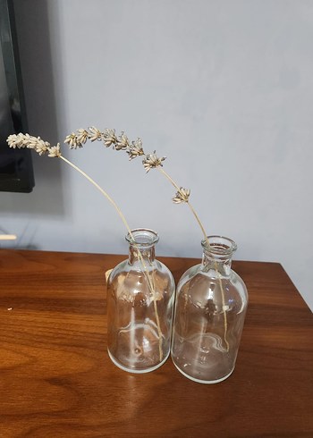 Mantarlı Şeffaf Cam Şişe Seti - Görsel 2