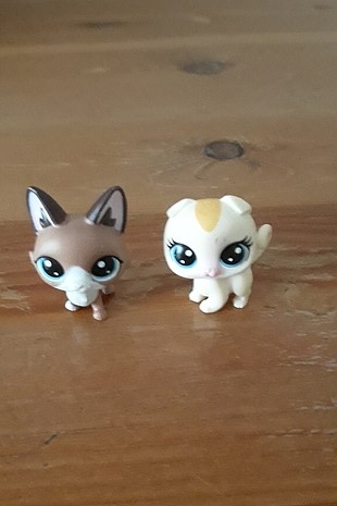 Little pet shop 