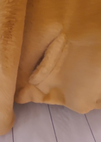 Kapşonlu Peluş Ceket - Görsel 6