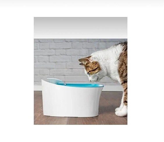 Kedi su sebili