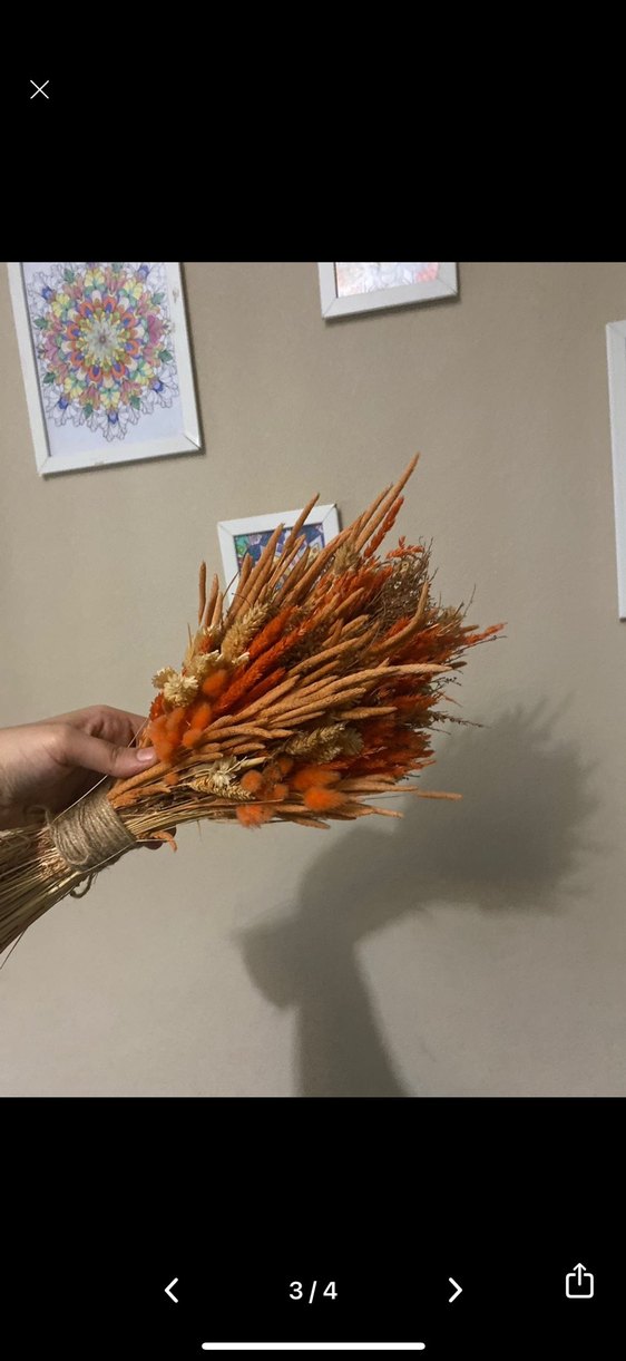 Gelin çiçeği - Görsel 2