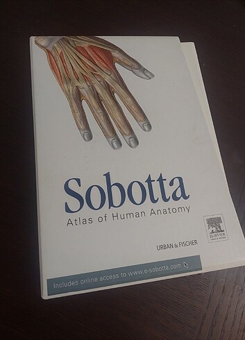Sobotta anatomi atlası