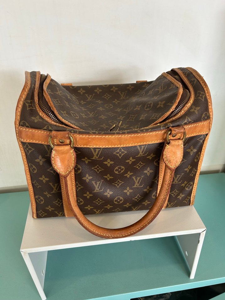 Louis Vuitton Köpek Taşıma Çantası - Görsel 2