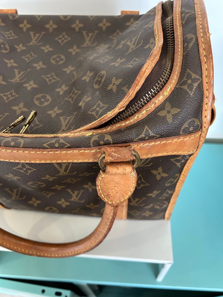 Louis Vuitton Köpek Taşıma Çantası - Görsel 3