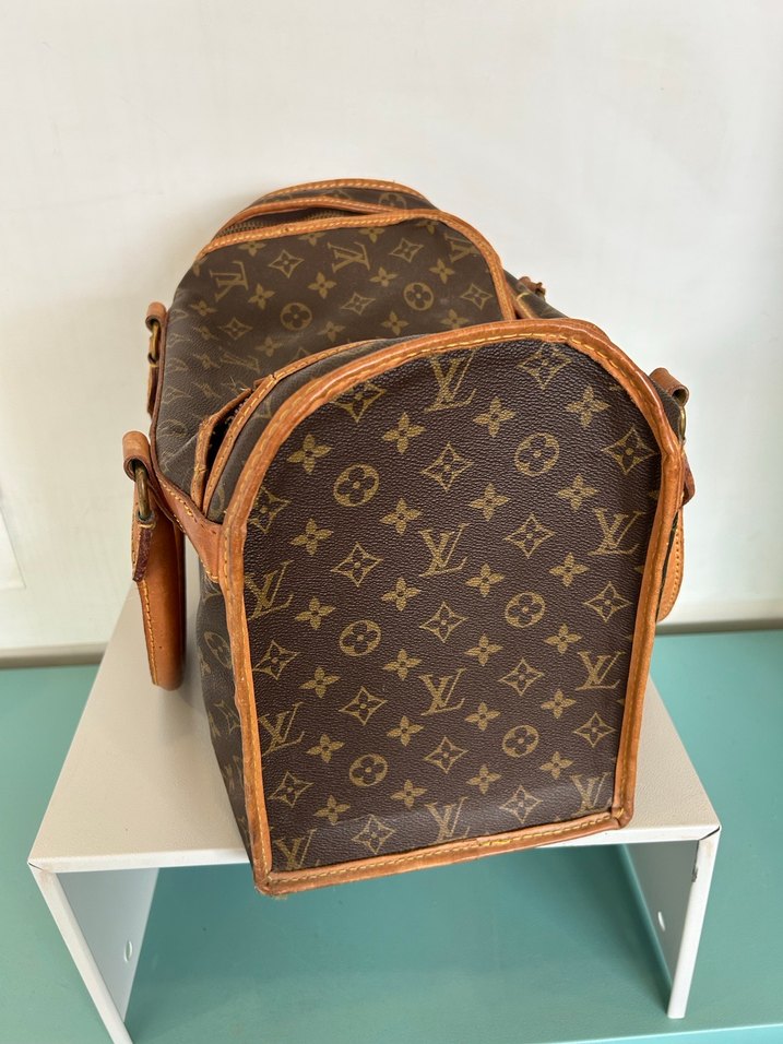 Louis Vuitton Köpek Taşıma Çantası - Görsel 5