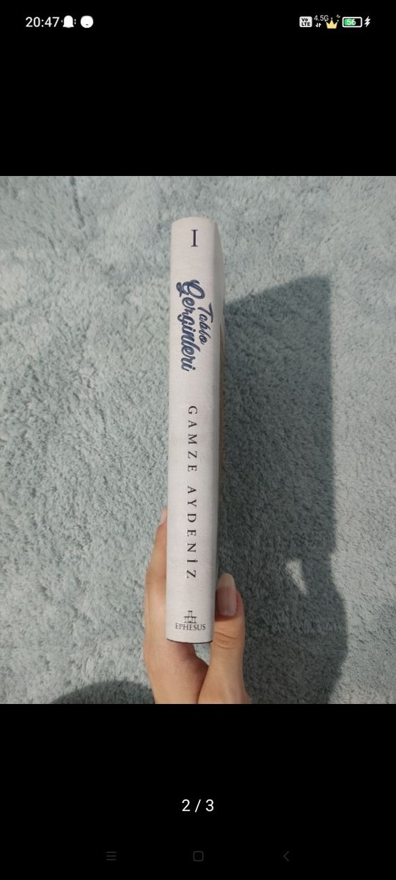 Tablo Gerginleri - Gamze Aydeniz Roman(cilti) - Görsel 2