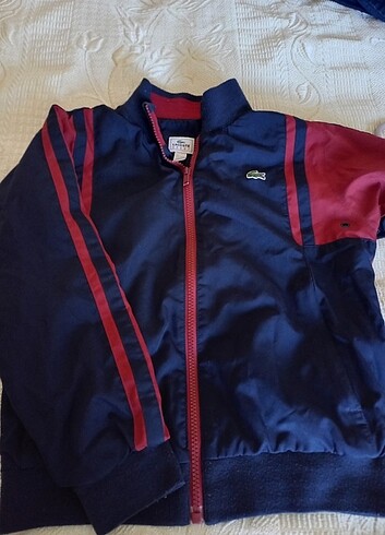 9 Yaş Beden Erkek cocuk Lacoste fermuarlı sweatshirt 
