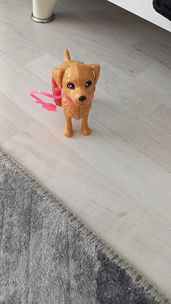 Barbie köpegi