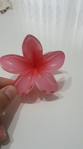  Beden Lotus toka 