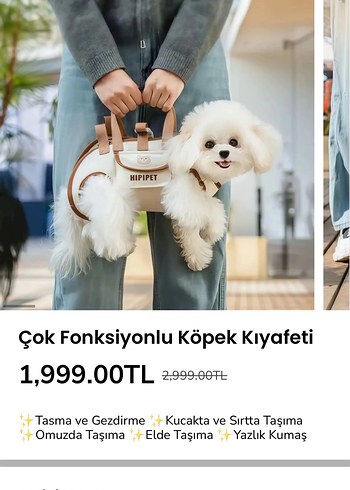 Kahverengi Yatay Köpek çok yönlü taşıma