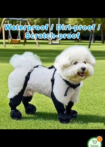 Beden 4 mevsim köpek ayakkabısı