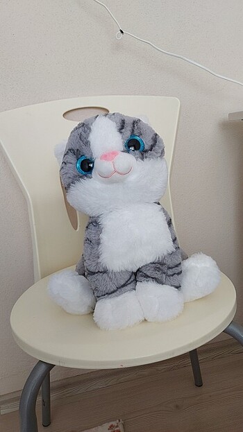 Peluş kedi