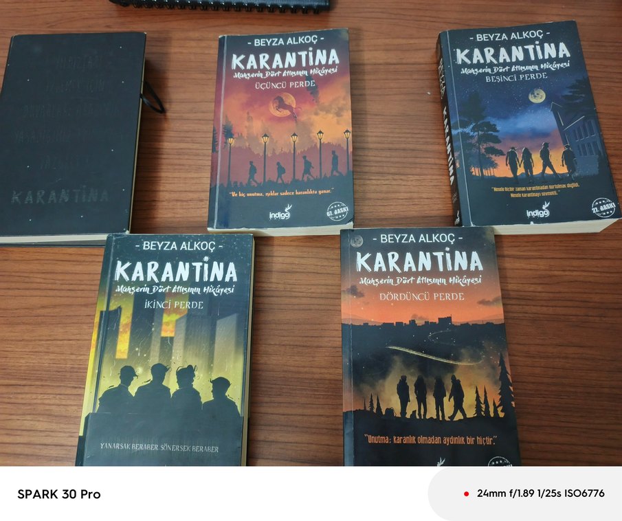 karantina serisi - Görsel 2