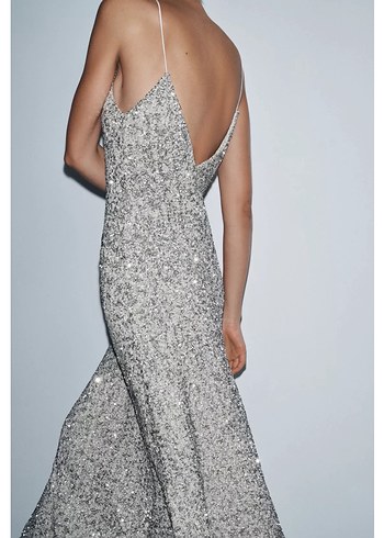 Uzun Pullu Gümüş Elbise - Görsel 3