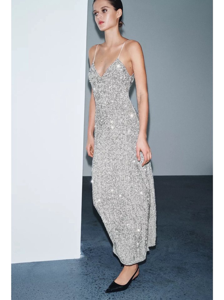 Uzun Pullu Gümüş Elbise - Görsel 4