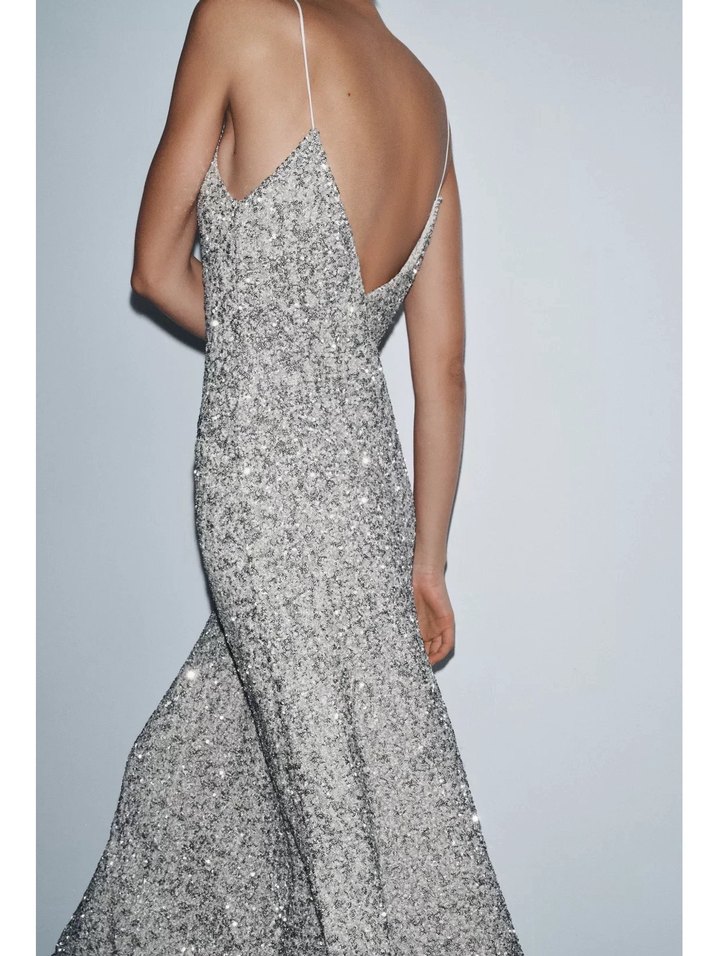 Uzun Pullu Gümüş Elbise - Görsel 3