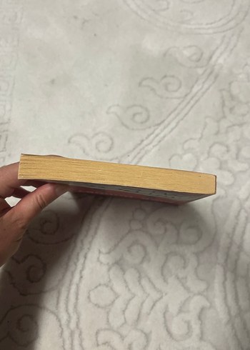 Futbol Ateşi - Nick Hornby - Görsel 4