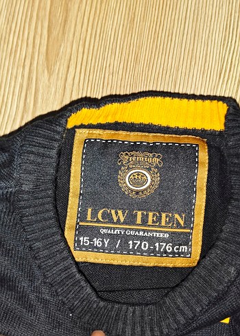 Kaplan Baskılı Siyah Erkek Sweatshirt - Görsel 3