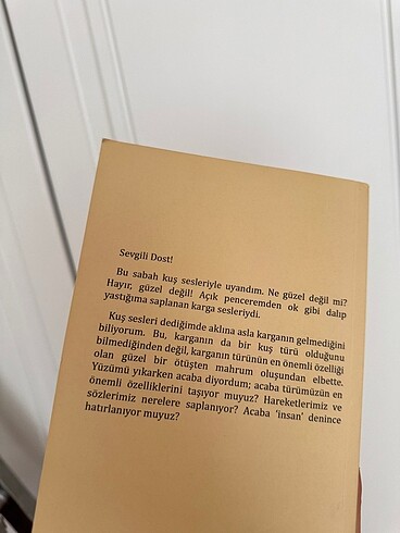  Posta Kutusundaki Mızıka Roman