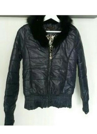 Roberto cavalli mont