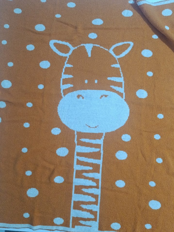 Little Plane Zürafa Desen Triko Çocuk Battaniye 80 X 90 Cm - Görsel 3