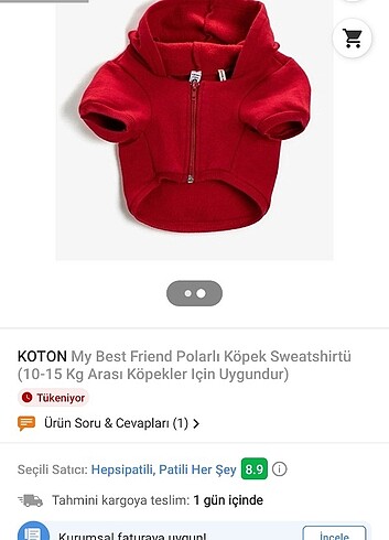 Sweatshirt