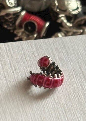 Gümüş tırtıl charm - Görsel 2