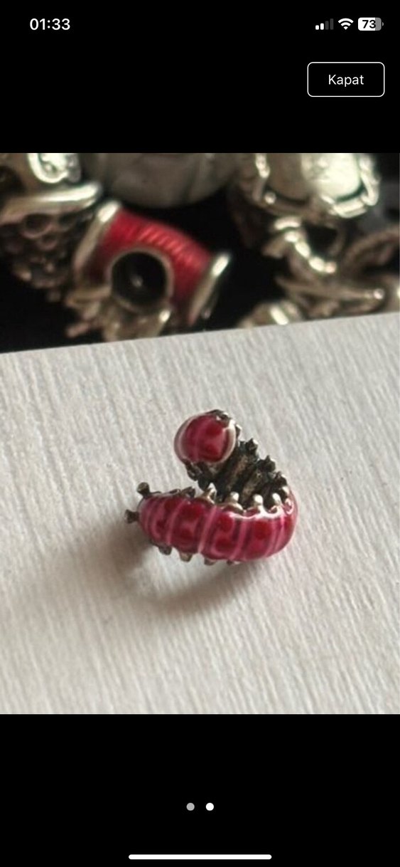 Gümüş tırtıl charm - Görsel 2